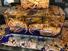 -蟹道乐(道顿堀本店)