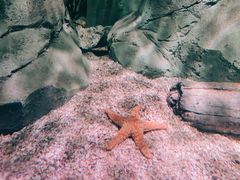 -沈阳海洋探索中心