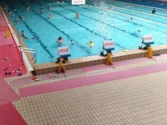 -重庆市奥林匹克体育中心-游泳跳水馆