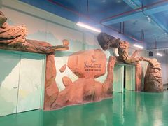 -杭州开元森泊度假乐园