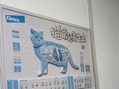 -科道动物医院·急重症中心(万达院)