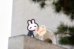 点击看大图 -CD视觉婚纱摄影