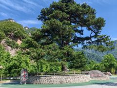 -秦岭终南山世界地质公园翠华山景区