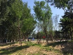 -回龙观体育文化公园