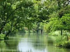 -野蔓果·山野菜(西湖景区·龙井茶田店)