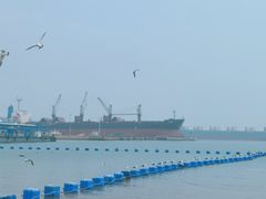 -海驴岛(荣成市)