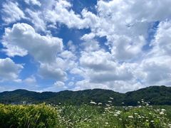-缥缈峰景区