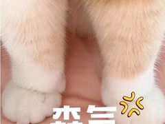 -阳江河堤老牌曾记美食