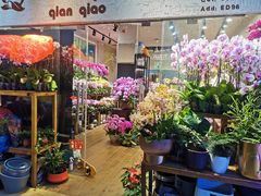 -双季花艺园艺市场(浦东店)