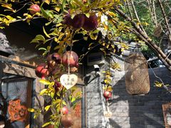 -四喜小胖·北京涮肉(五道营店)