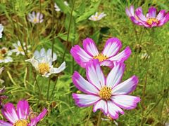 -东钱湖旅游度假区