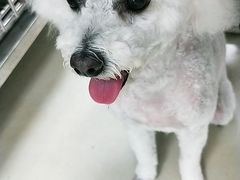 -宠福鑫康馨动物医院·骨科·眼科