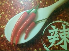 -红鼎坊·老成都火锅(新南门店)