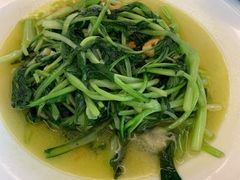 鸡毛菜-冶春茶社(官园桥店)