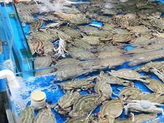-济南海鲜大市场