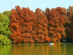 -上海海湾国家森林公园