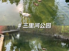 -三里河公园