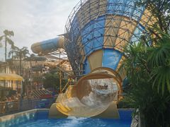 -重庆海昌加勒比海水世界