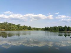 -白鹭湾湿地公园