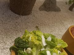 -喜家自助小火锅(乐客城店)