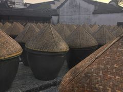 -乌镇东栅景区