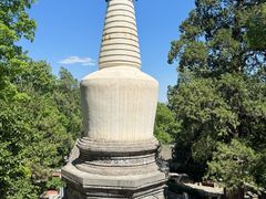 -大觉寺-停车场