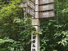 -潜山国家森林公园