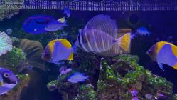 -Zoolung Zoolung动物主题公园(海信广场店)