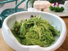 炝拌松尖-潮粥荟·潮汕砂锅粥(朝阳大悦城店)