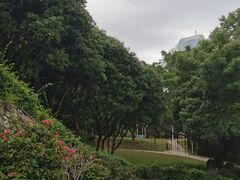 -梧桐山风景名胜区