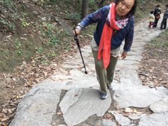 -北京上方山国家森林公园