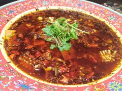 毛血旺-蜀厨小匠·民间川菜(犀浦店)