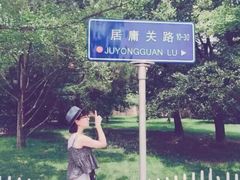 -八大关景区