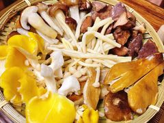 -菌极鲜野生菌火锅店(阳明祠店)