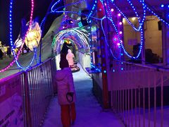 -沈阳奥体冰雪嘉年华