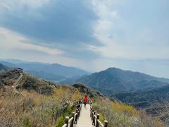 -大岭沟猕猴桃谷风景区