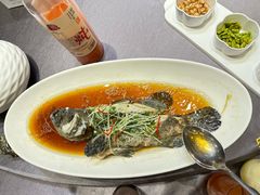 -骏莱海鲜鱼港(五角场店)