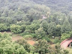 -重庆医科大学附属第一医院(金山院区)