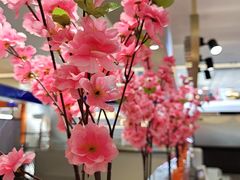-CoCo都可(大石万民城店)