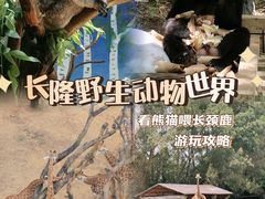 -广州长隆野生动物世界