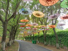 -祥源·阜阳生态乐园