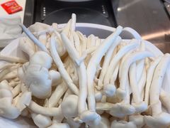 -龍歌自助小火锅(芝罘万达店)