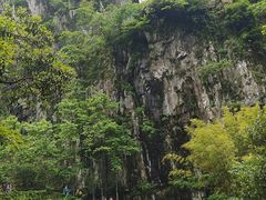 -刘伯温故里景区百丈漈
