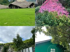 -阿露佳·舌尖上的安吉菜