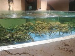 -旺顺阁海鲜广场(亚运村店)