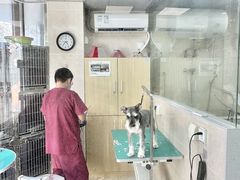 -美联众合爱康动物医院•复杂内科•肿瘤科•牙科•腔镜诊疗中心