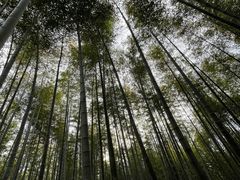 -求雨山文化公园