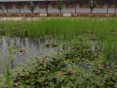 -河北村民俗体验园