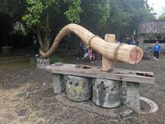 -海口火山口国家地质公园