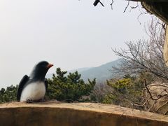 -燕窝岭